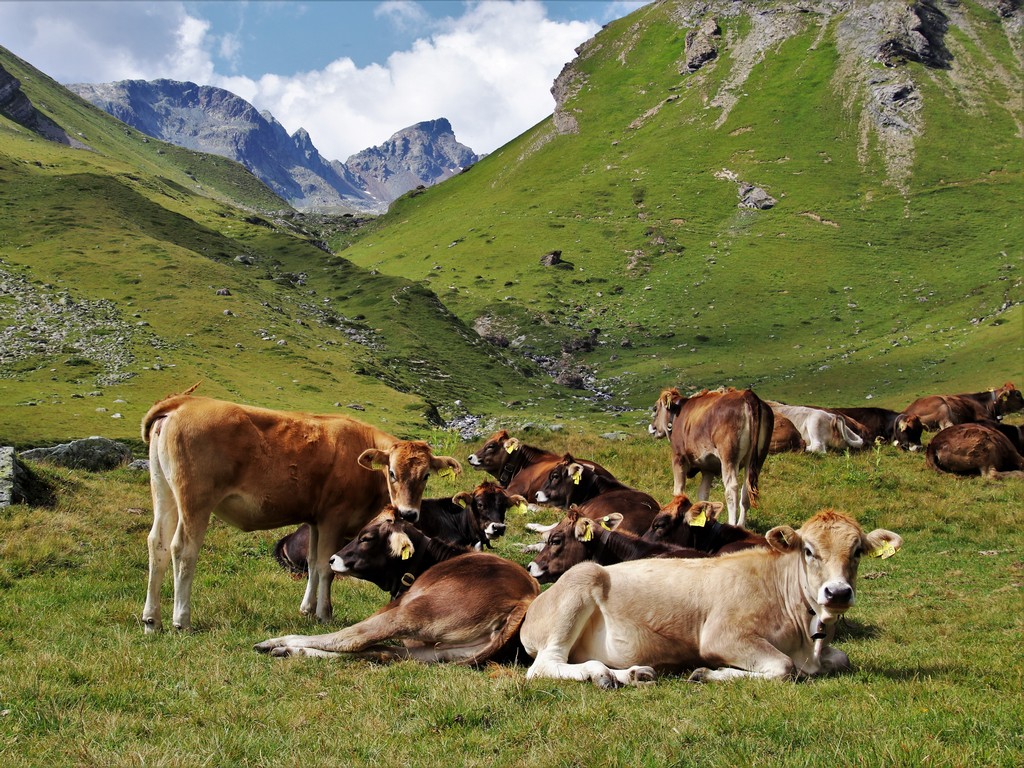 Krasy-Svycarska-vlakem-mezi-velikany-8